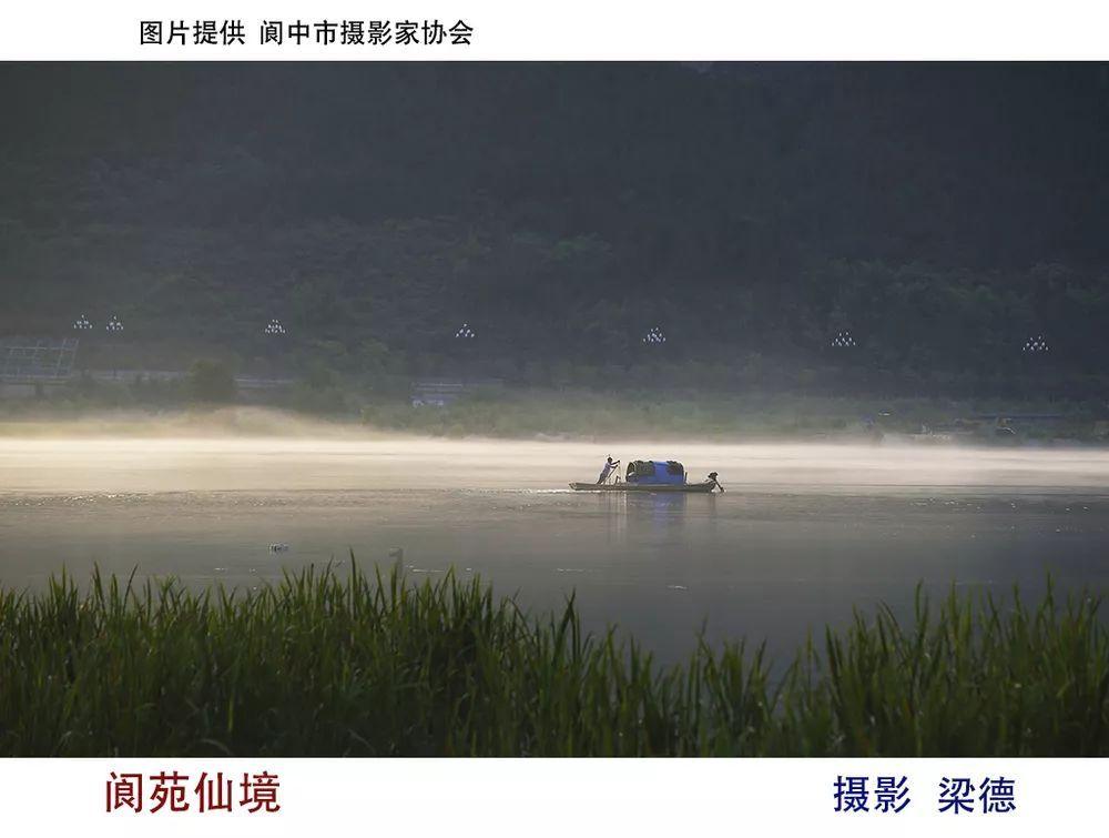 重生之玫瑰豪门