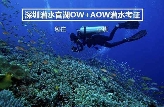 绷紧安全弦 筑牢生命线 | 石龙区开展文化市场安全生产检查